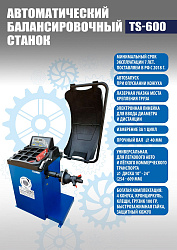 Комплект TS-3226A Станок шиномонтажный авто+TS-600 Балансировочный стенд для легковых авто