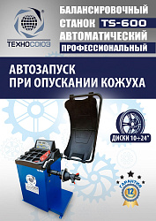 Комплект TS24AC+HR360 Станок шиномонтажный автомат+TS-600 Балансировочный стенд для легковых авто